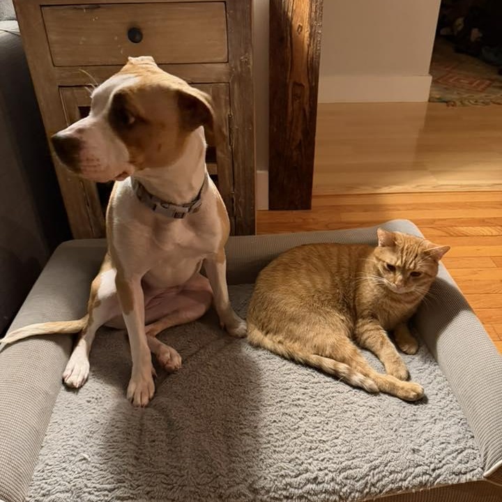 Lola — thumbnail 2