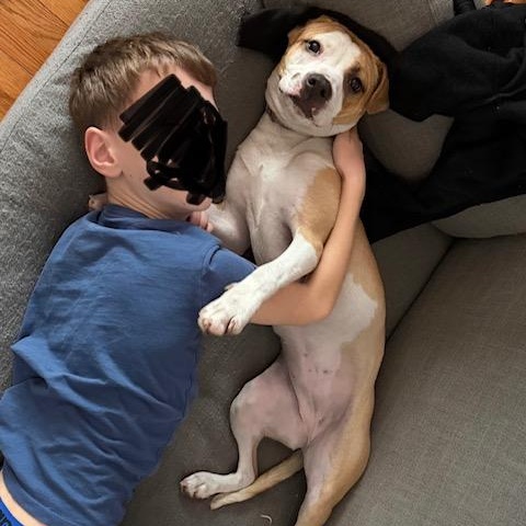 Lola — thumbnail 6