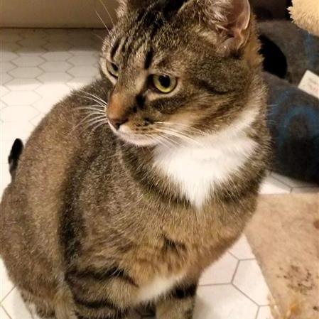 Matrix — thumbnail 2