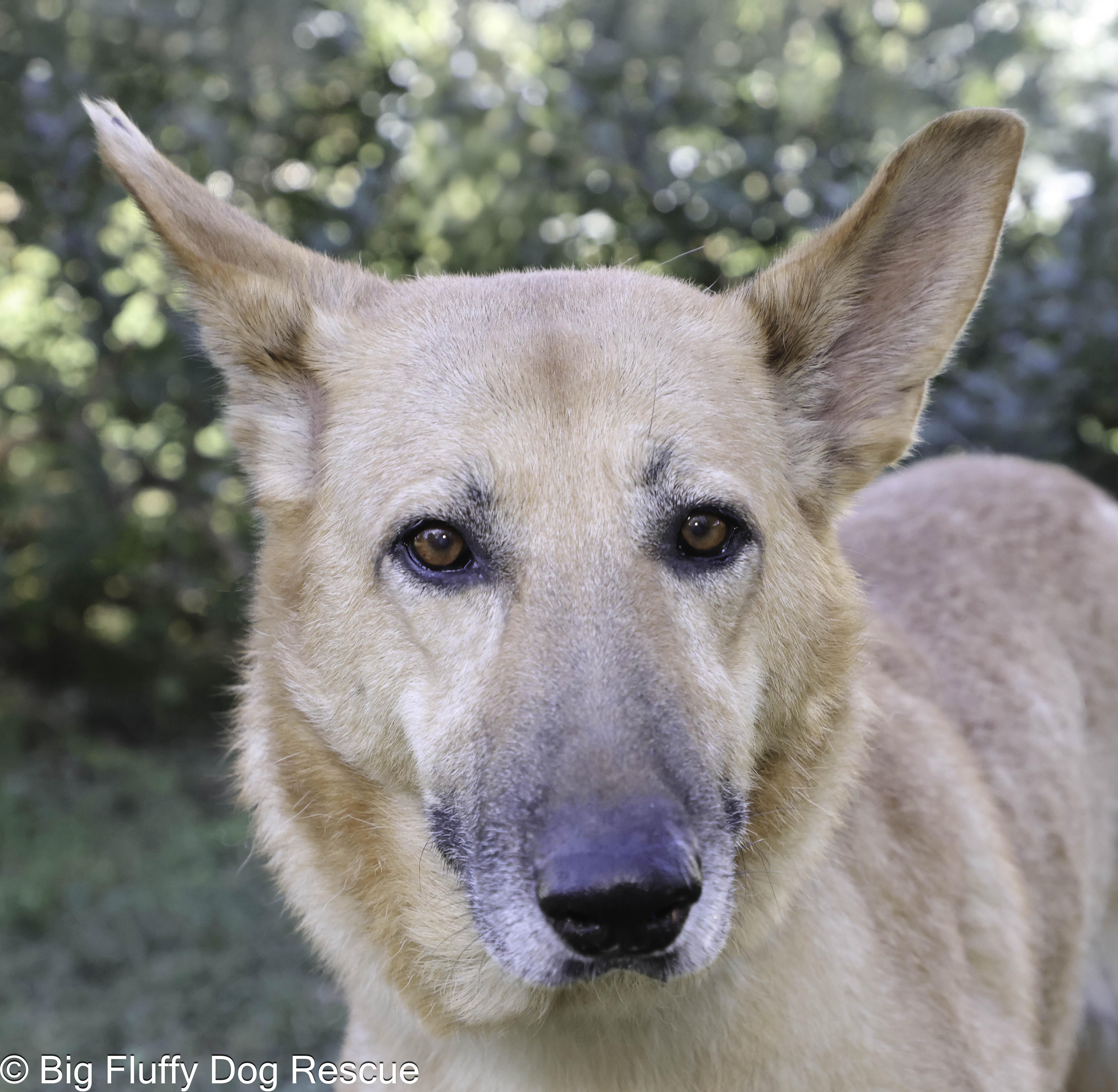 Molly — thumbnail 4