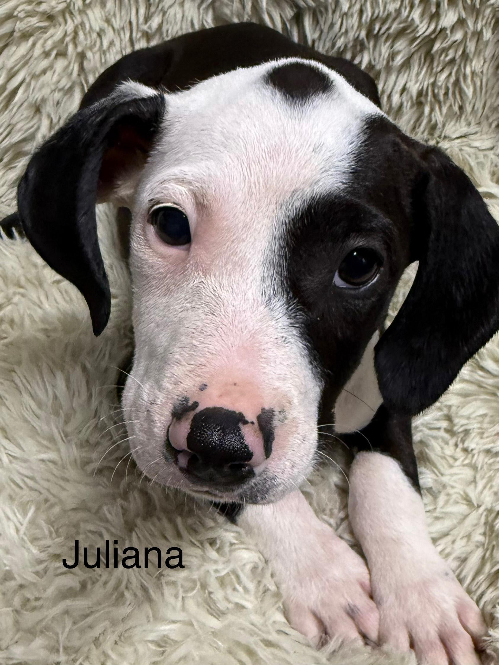 Juliana