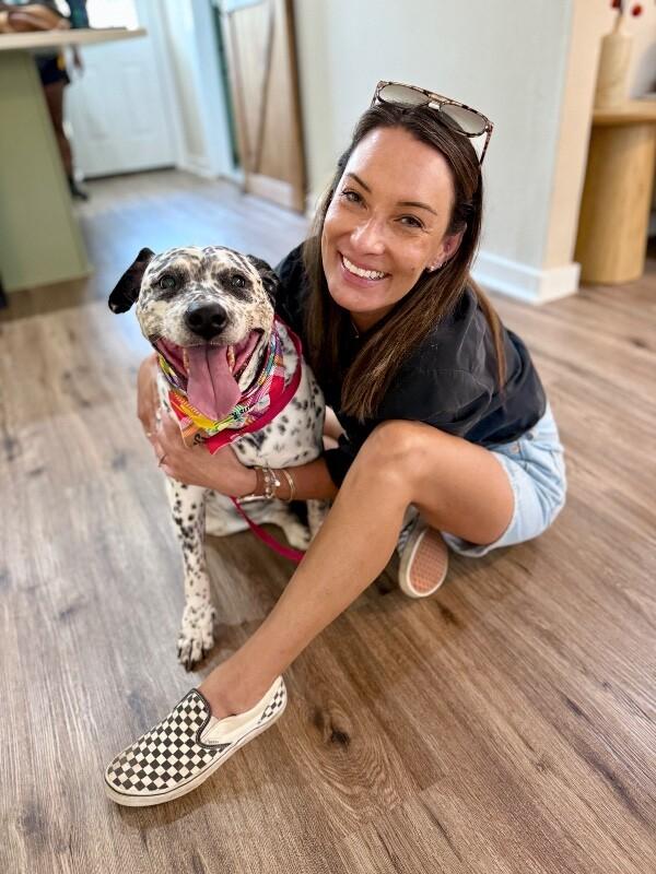 Enlarge Dottie Darling Dalmatian, a Adoptable mixed breed in Friendswood, TX image 4/6