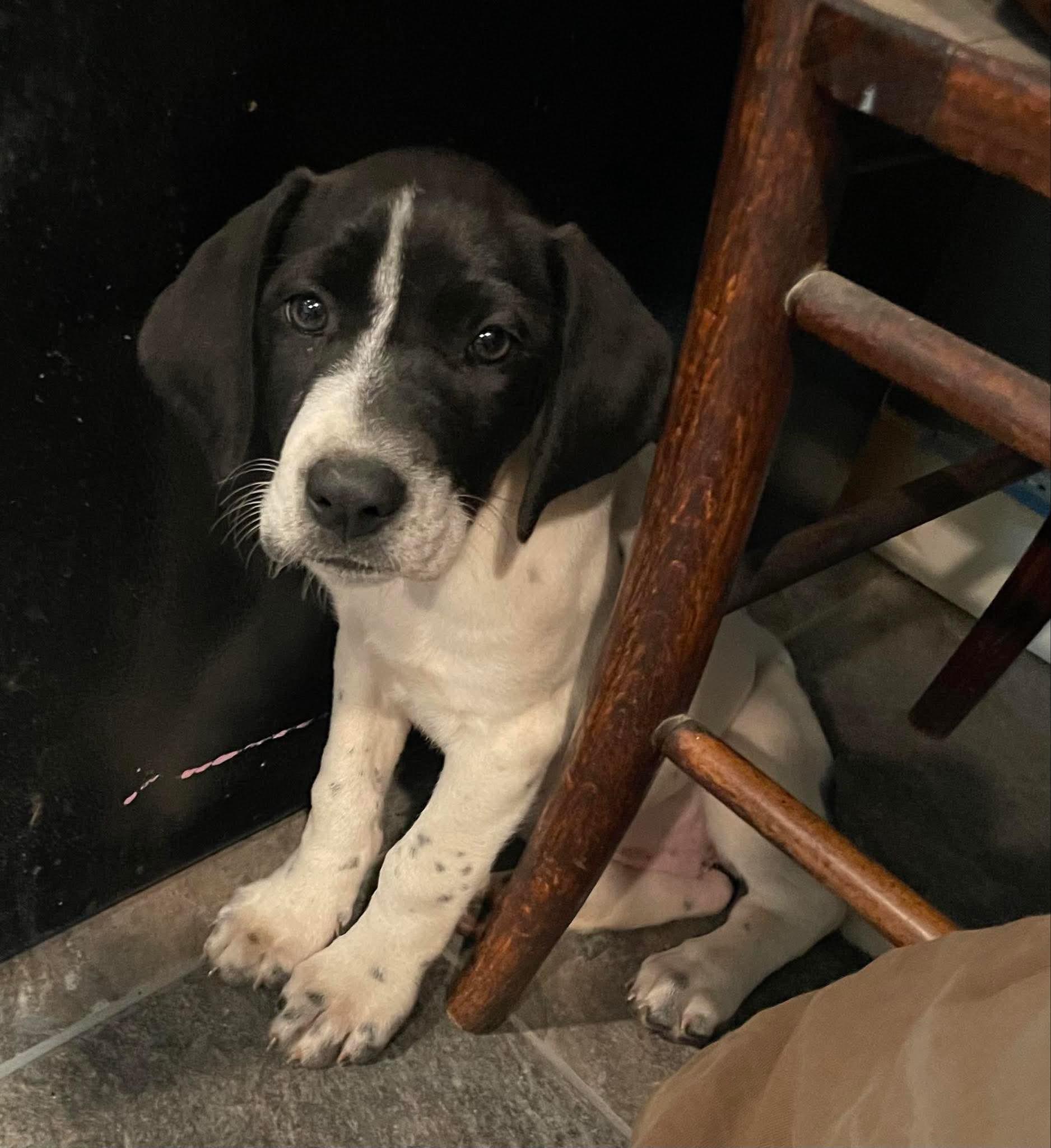 Mabel photo 5