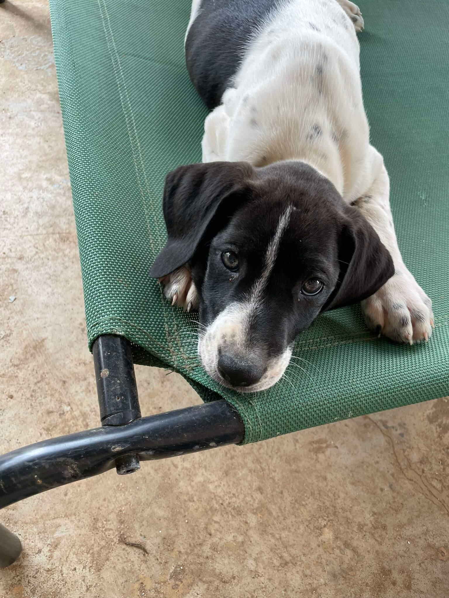 Mabel photo 6