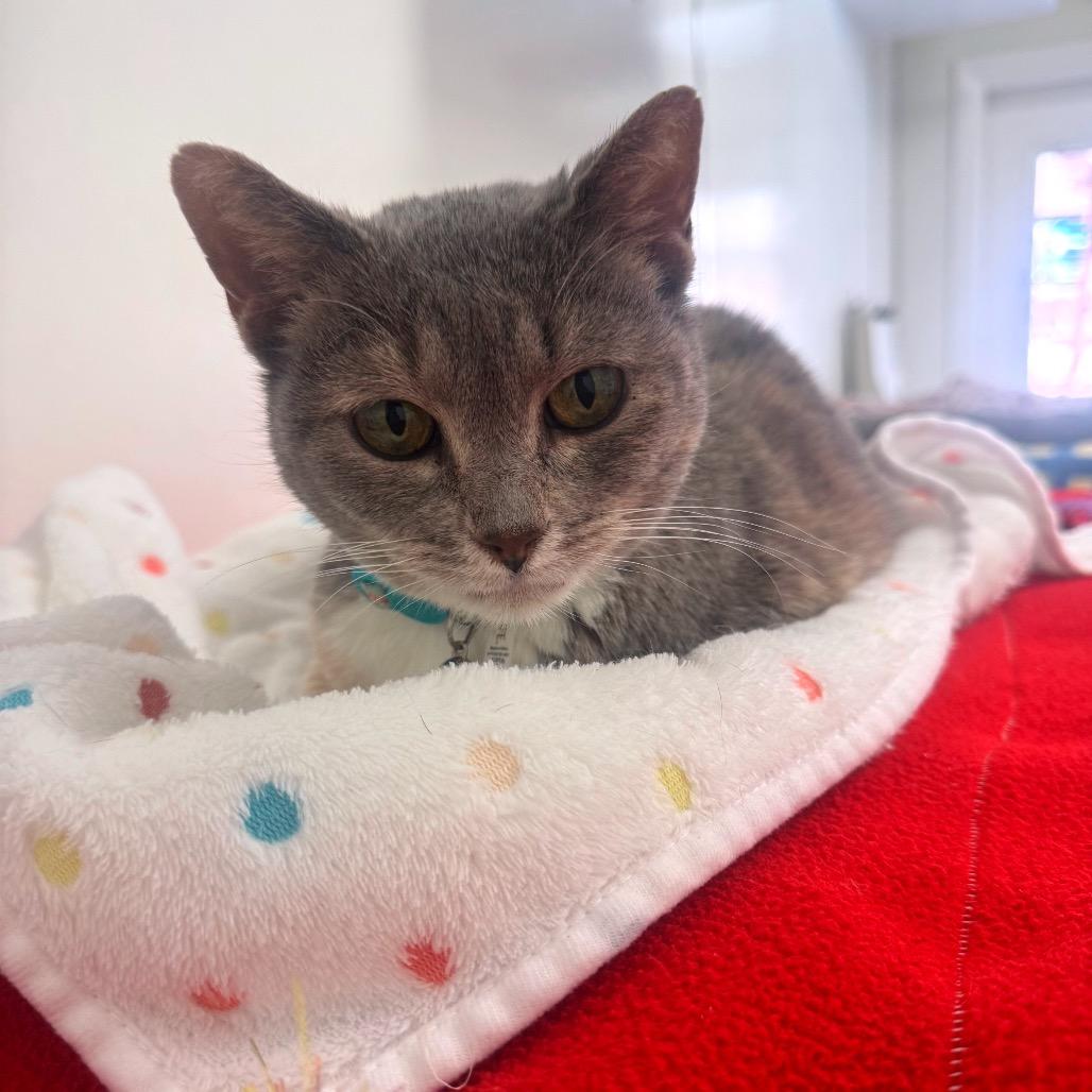 Sally — thumbnail 3