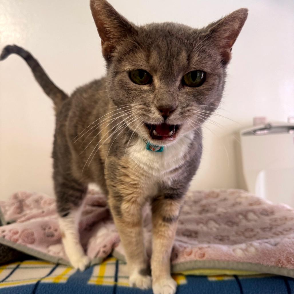 Sally — thumbnail 4