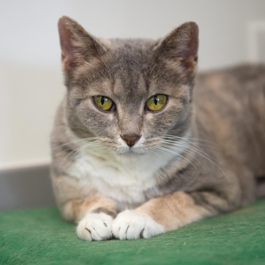 Sally — thumbnail 5