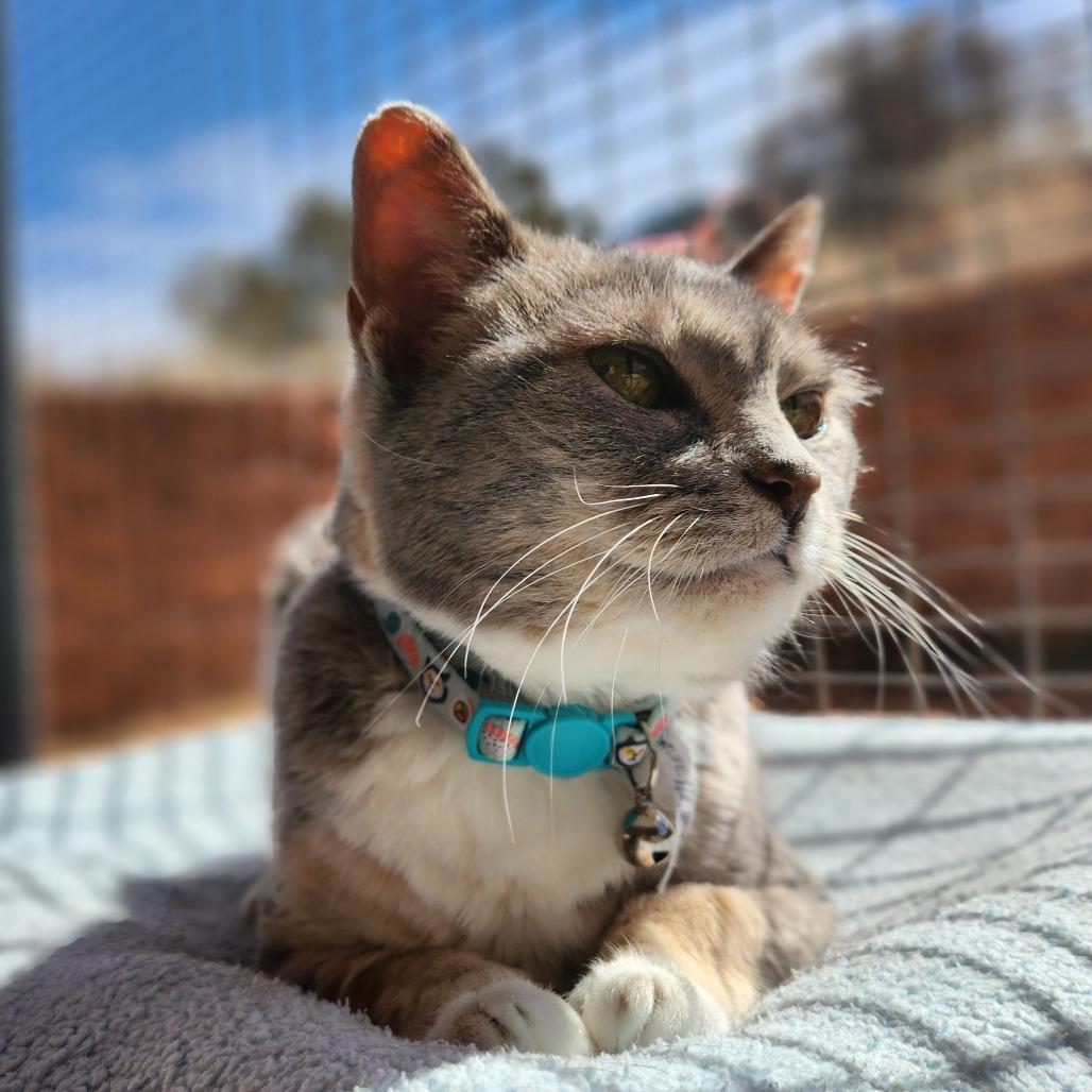 Sally — thumbnail 6