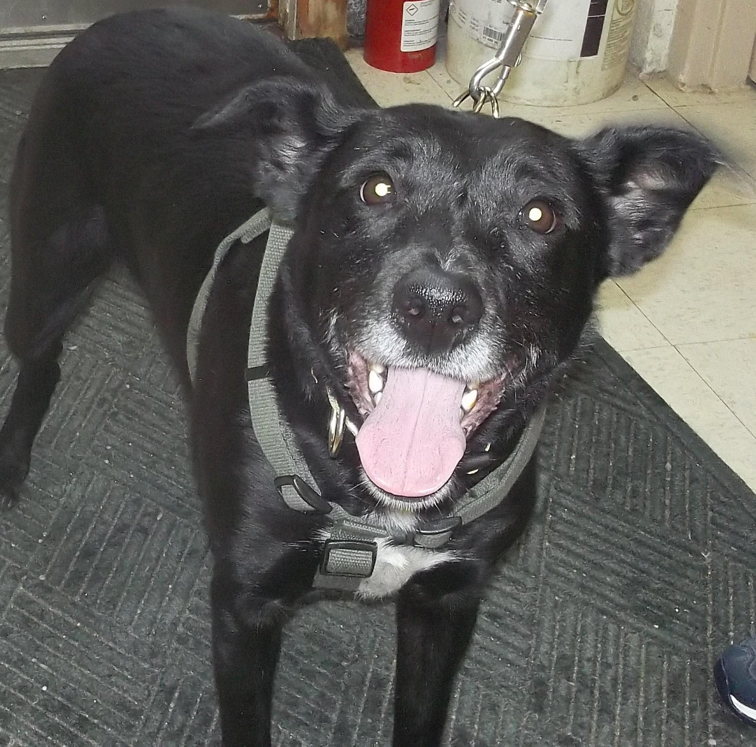 Fantastic Four thumbnail 5