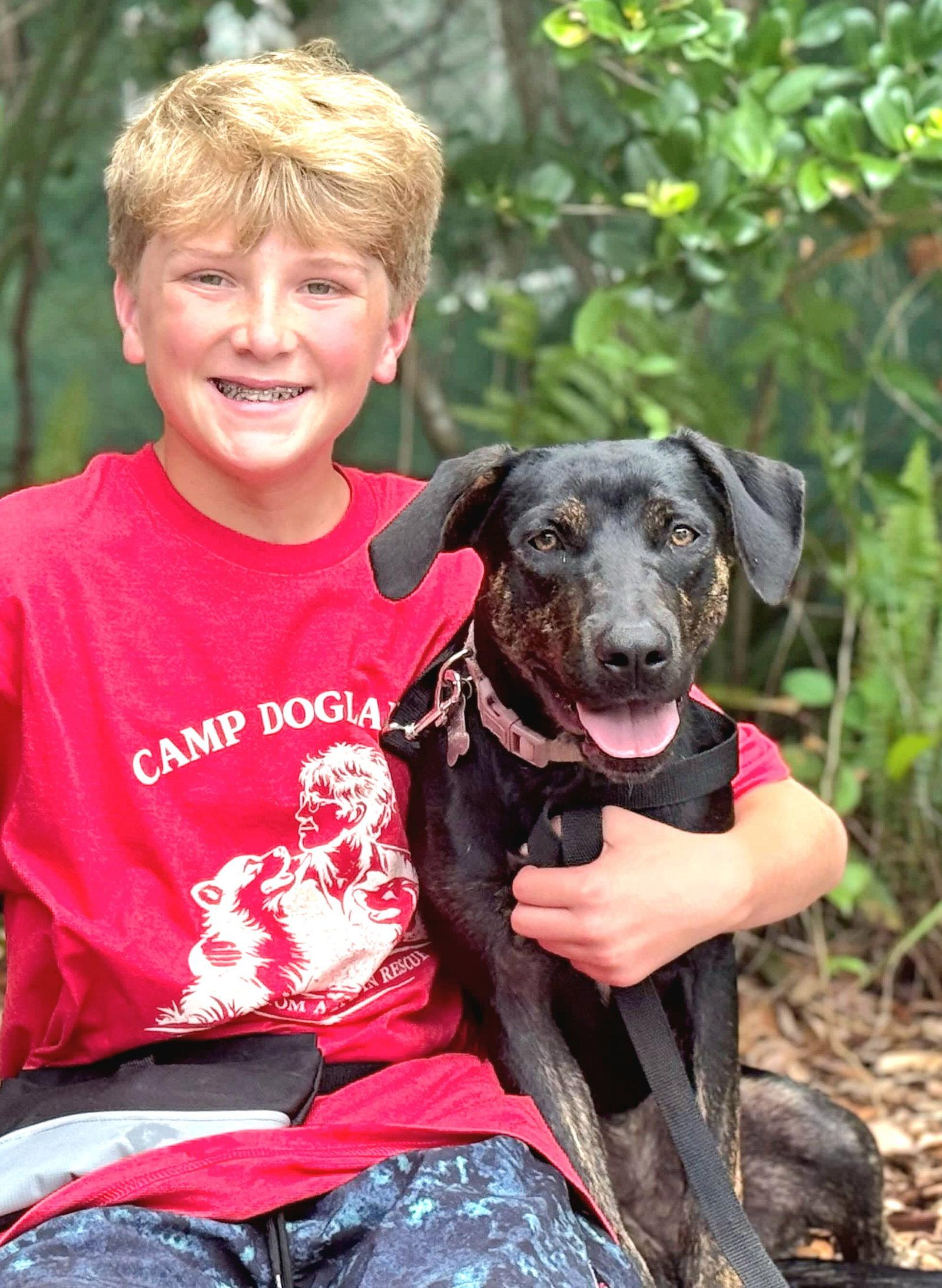 Enlarge Saoirse Doglando Graduate FH, a Adoptable mixed breed in Sanford, FL image 1/3