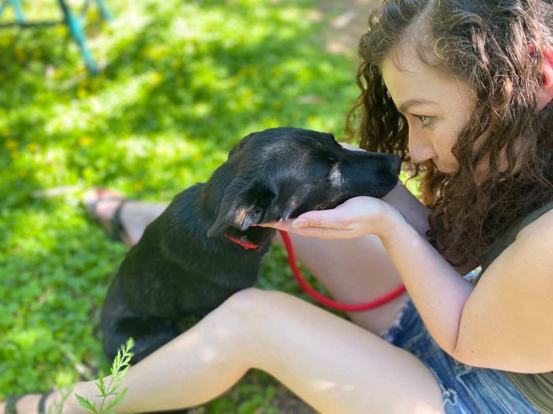 Nancy, a Adoptable mixed breed in Snoqualmie, WA image 4/6