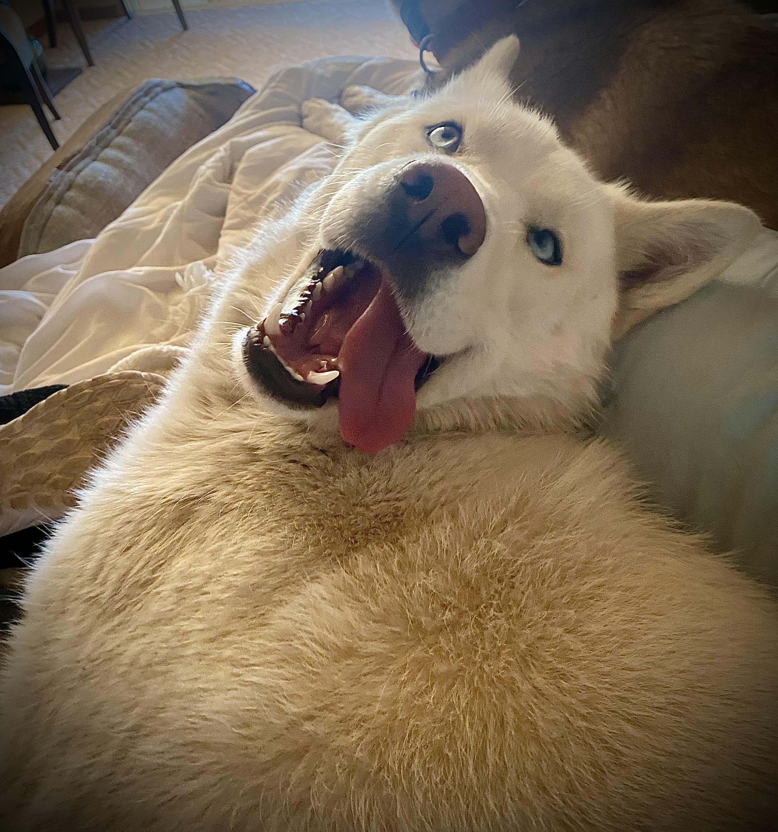 Walter White thumbnail 2