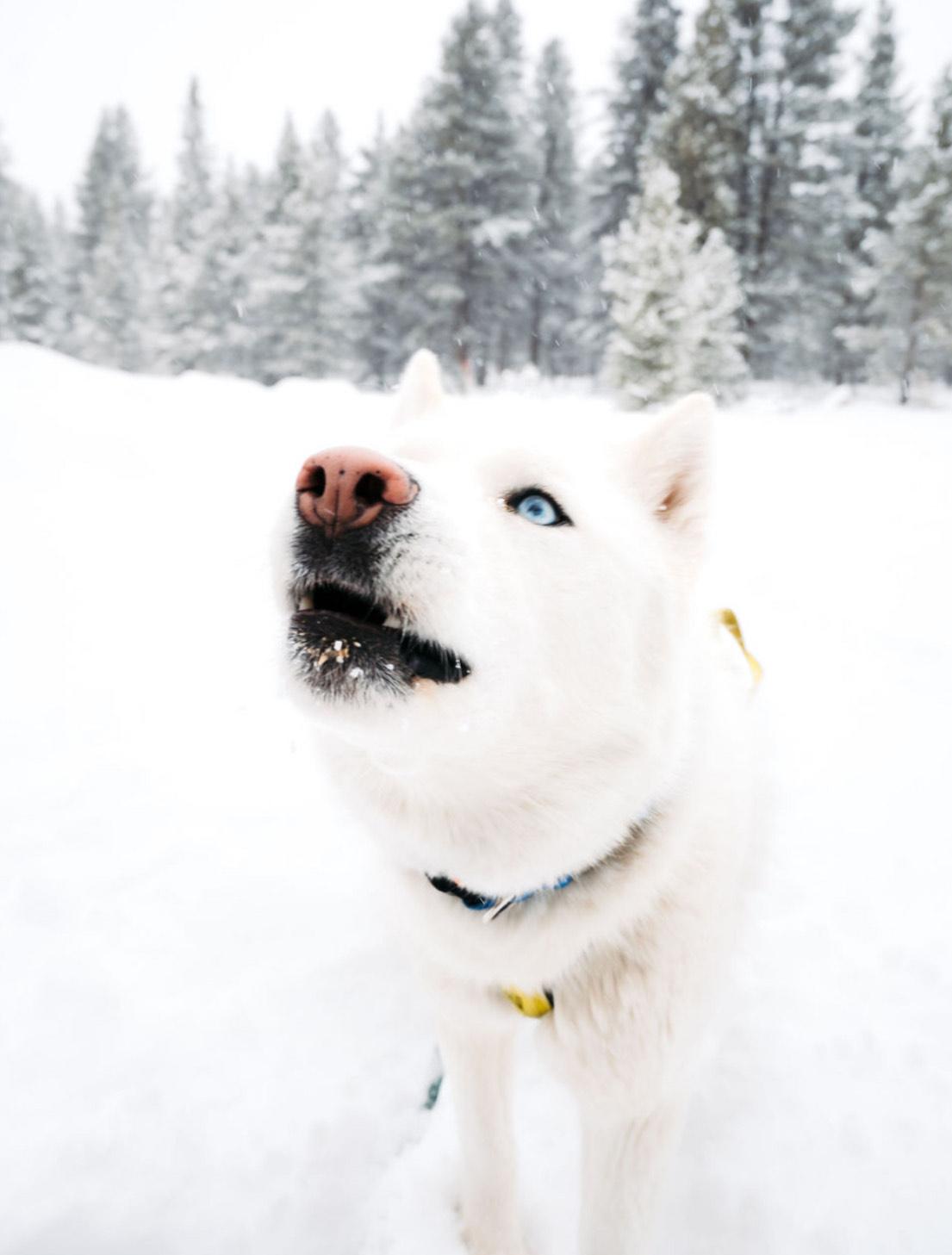 Walter White thumbnail 3