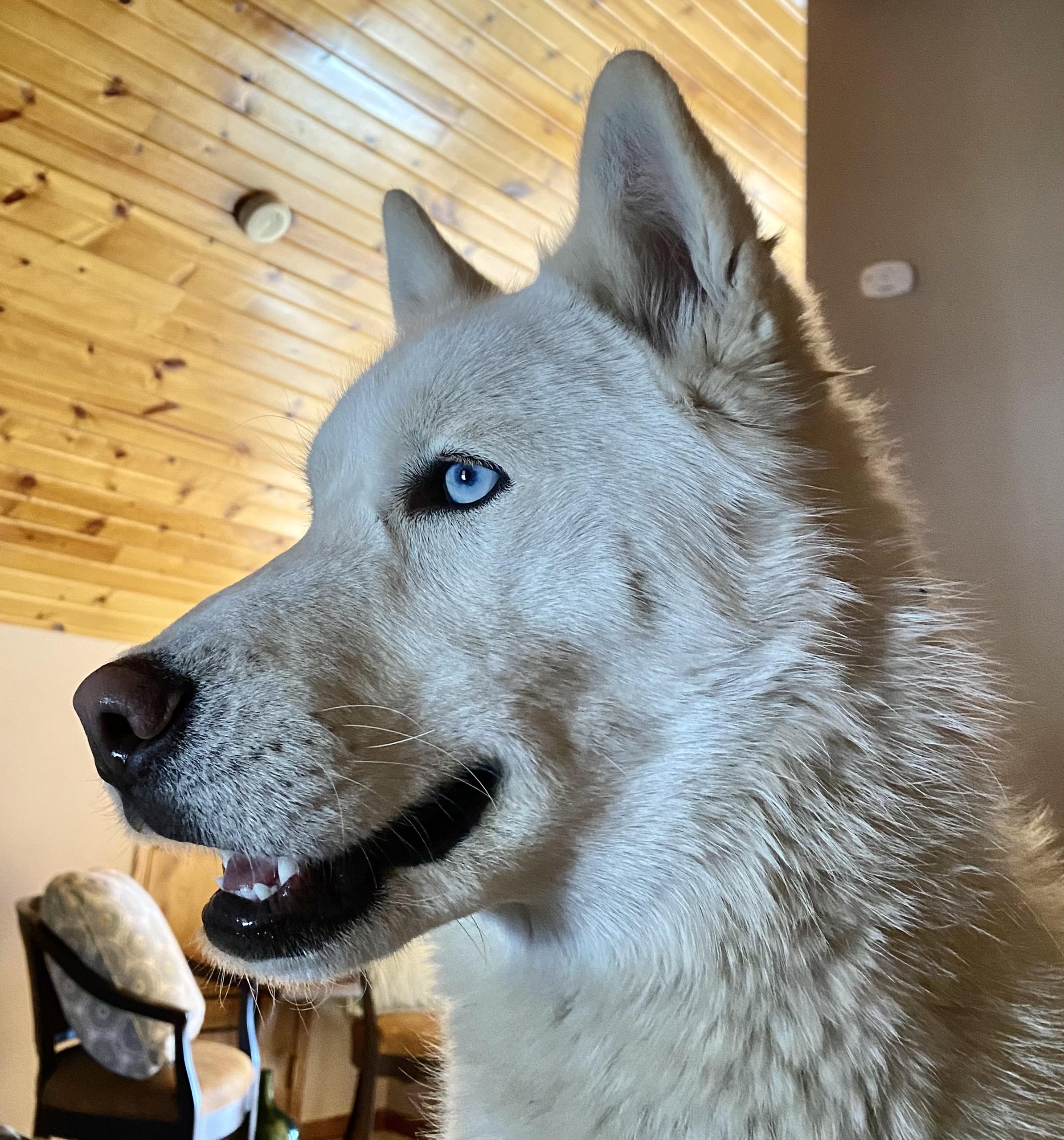 Walter White thumbnail 4