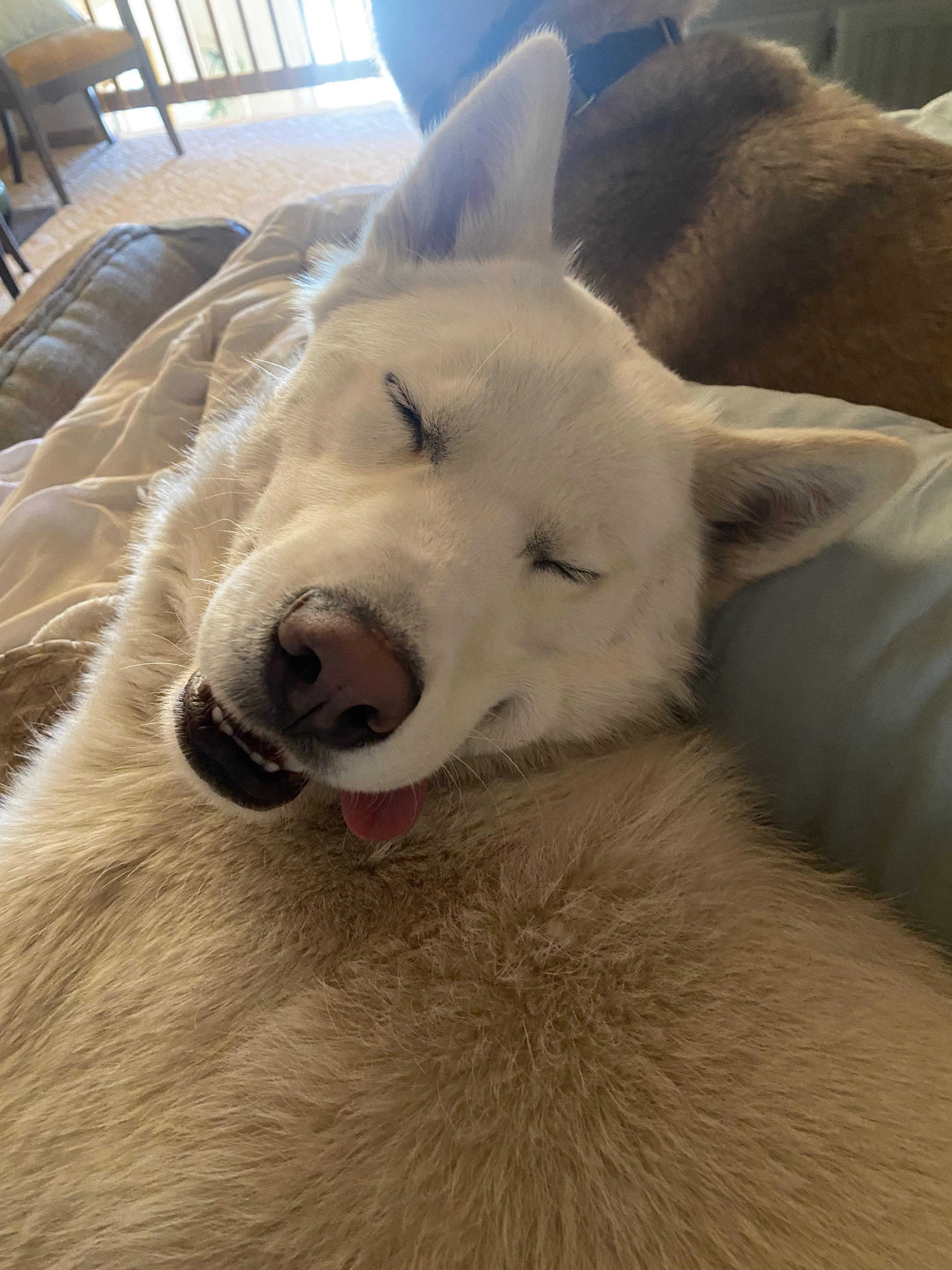 Walter White thumbnail 5