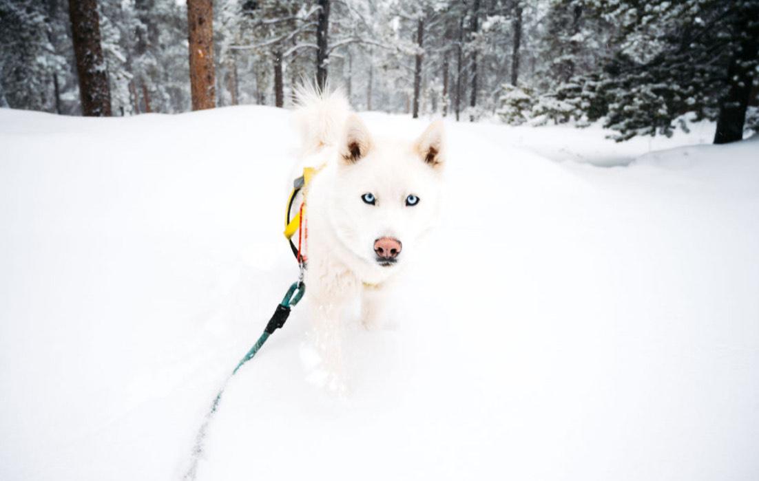 Walter White thumbnail 6