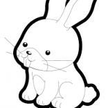 Al, a Adoptable mixed breed in Gansevoort, NY image 3/3