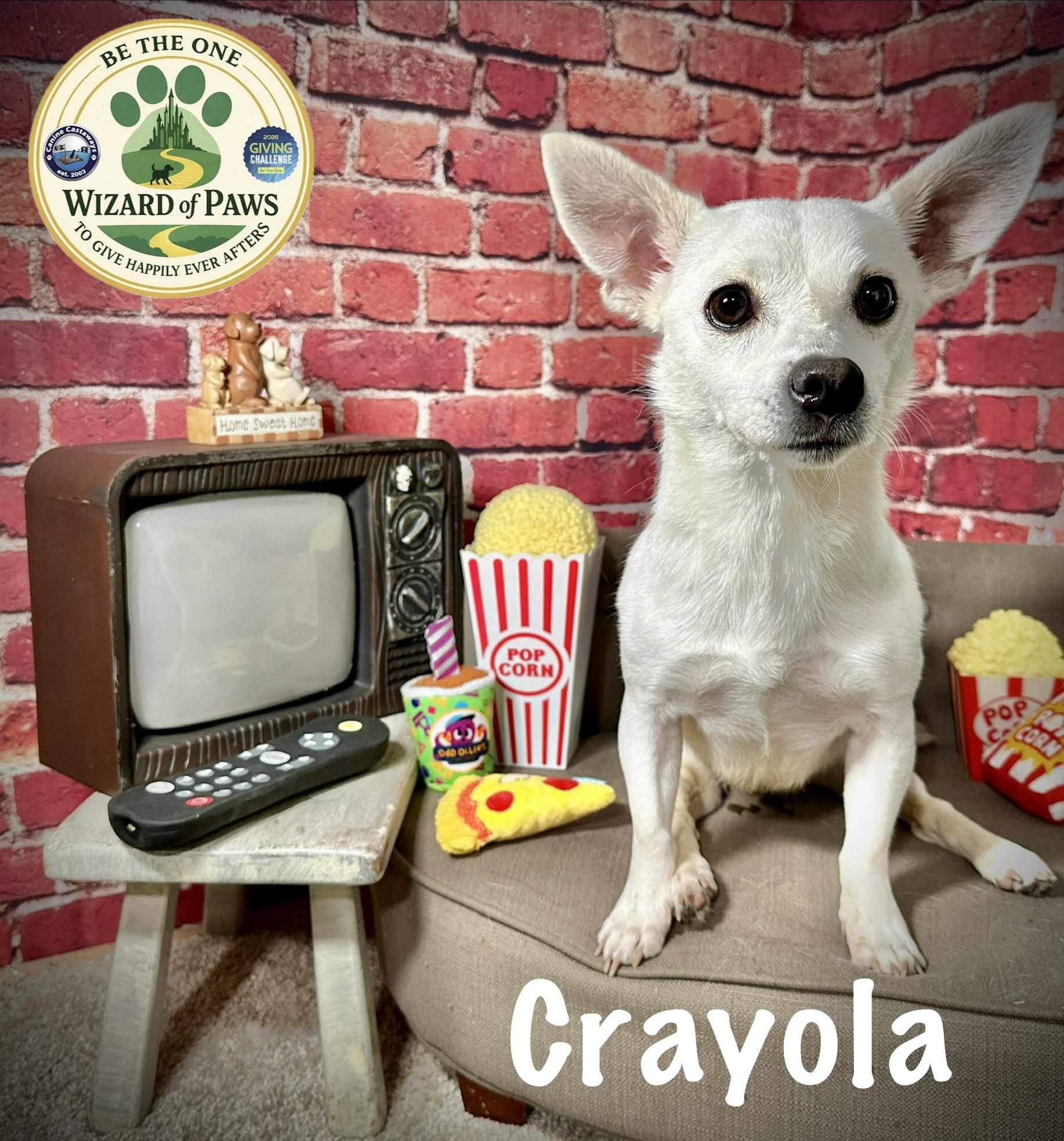 Enlarge Crayola, a Adoptable mixed breed in Arcadia, FL image 1/6