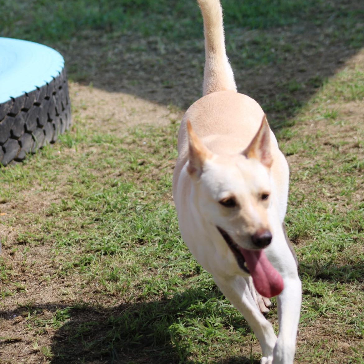 Salvador — thumbnail 3