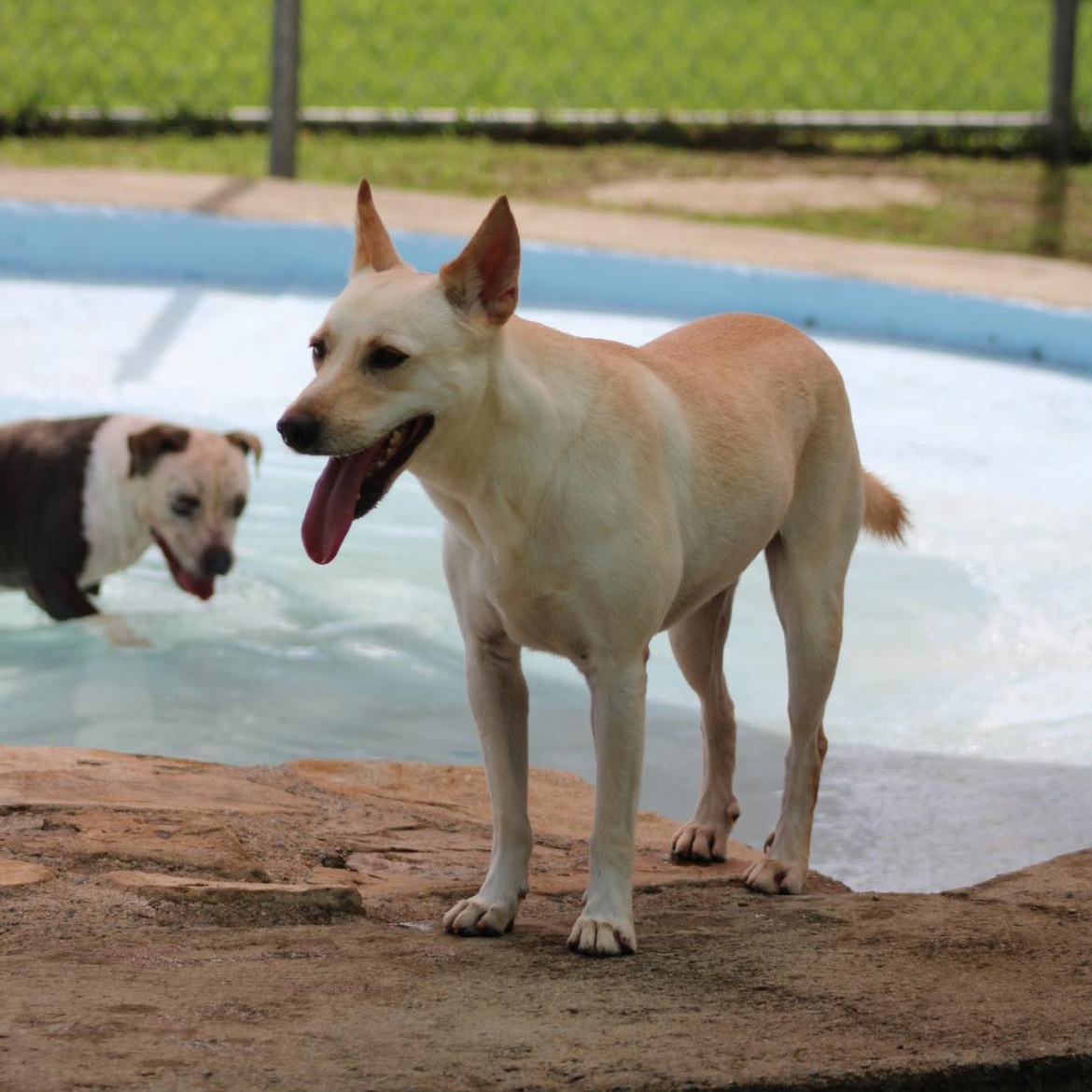 Salvador — thumbnail 5