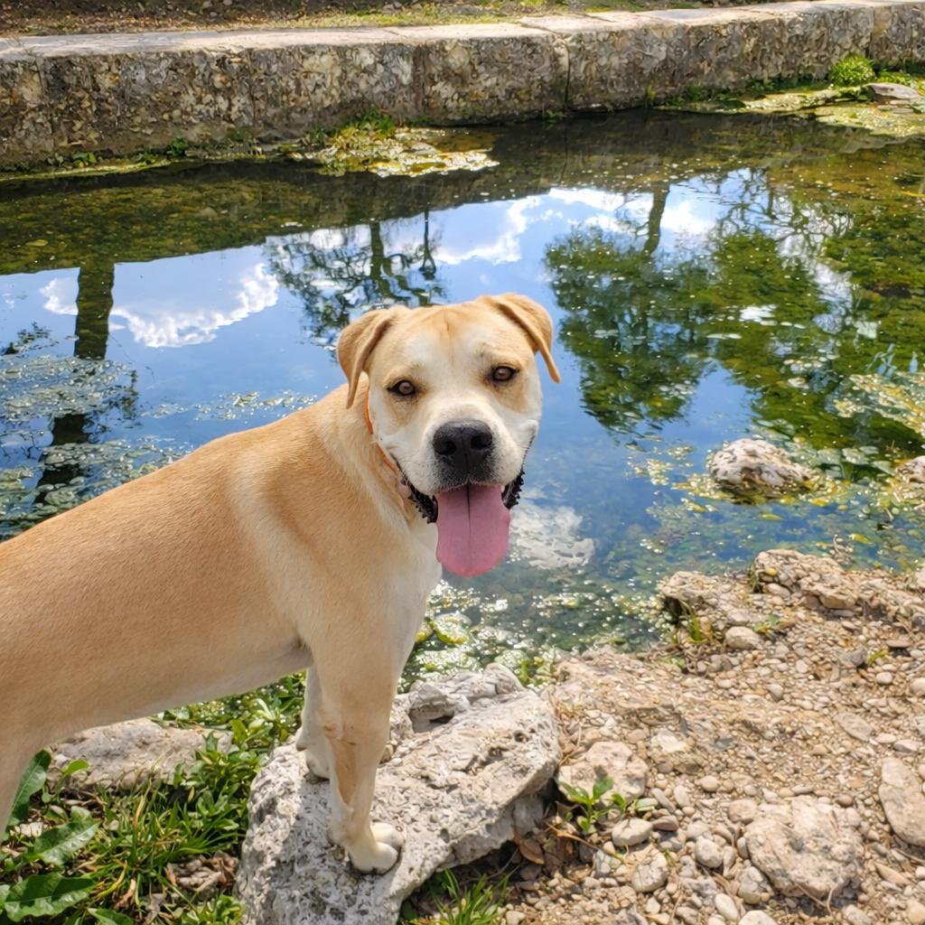 Breaker — thumbnail 2