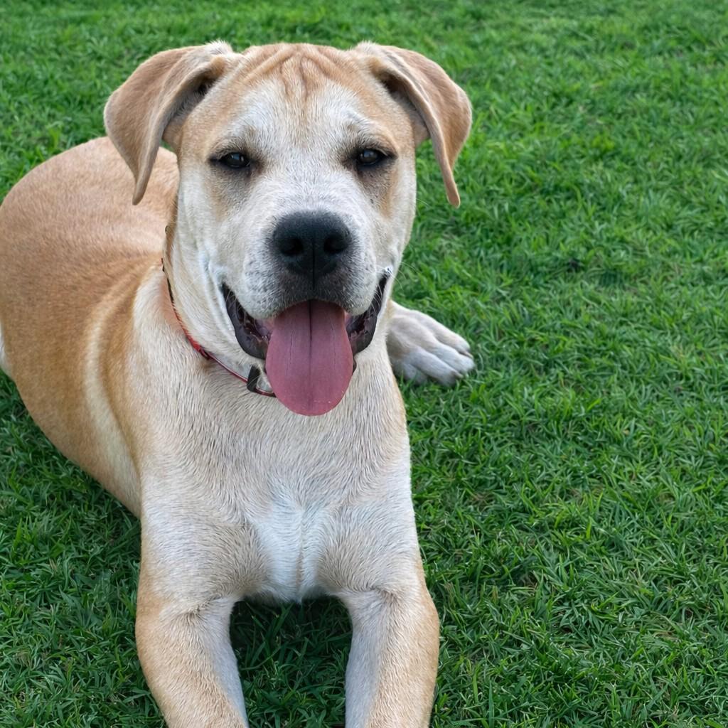 Breaker — thumbnail 3