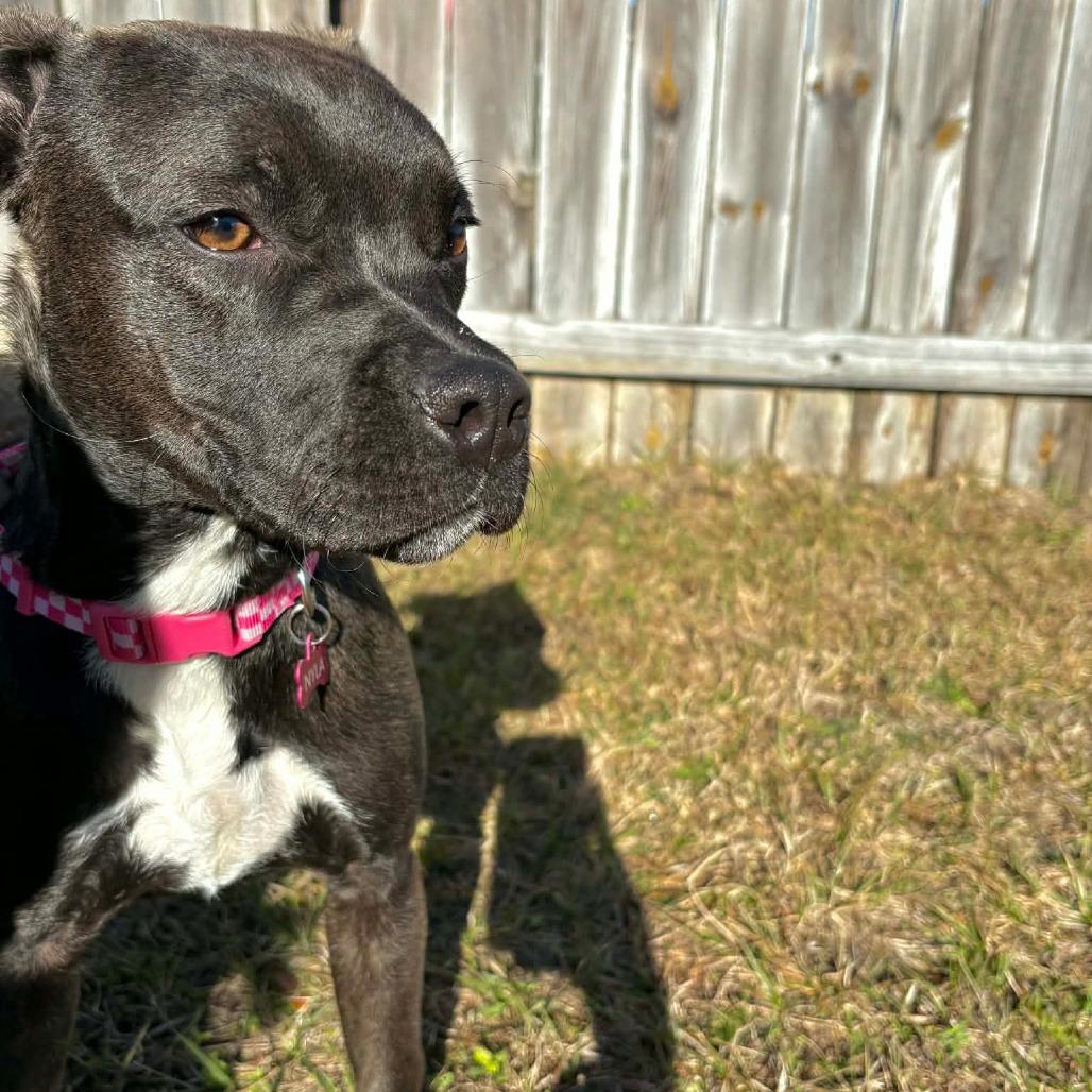 Nyla — thumbnail 5