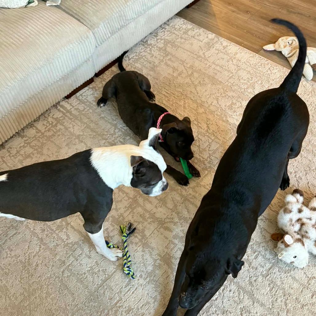 Nyla — thumbnail 6