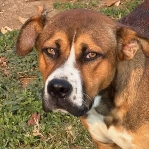 Sammy — thumbnail 2