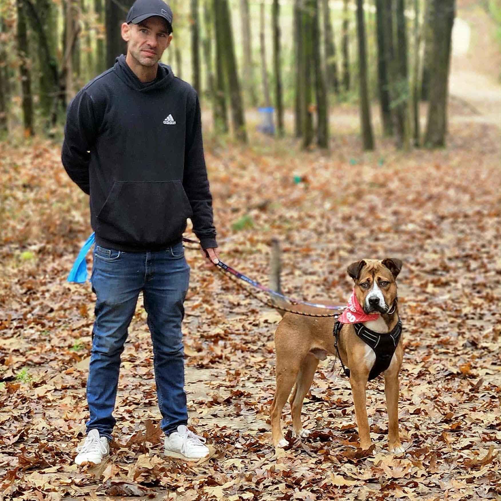 Sammy — thumbnail 6