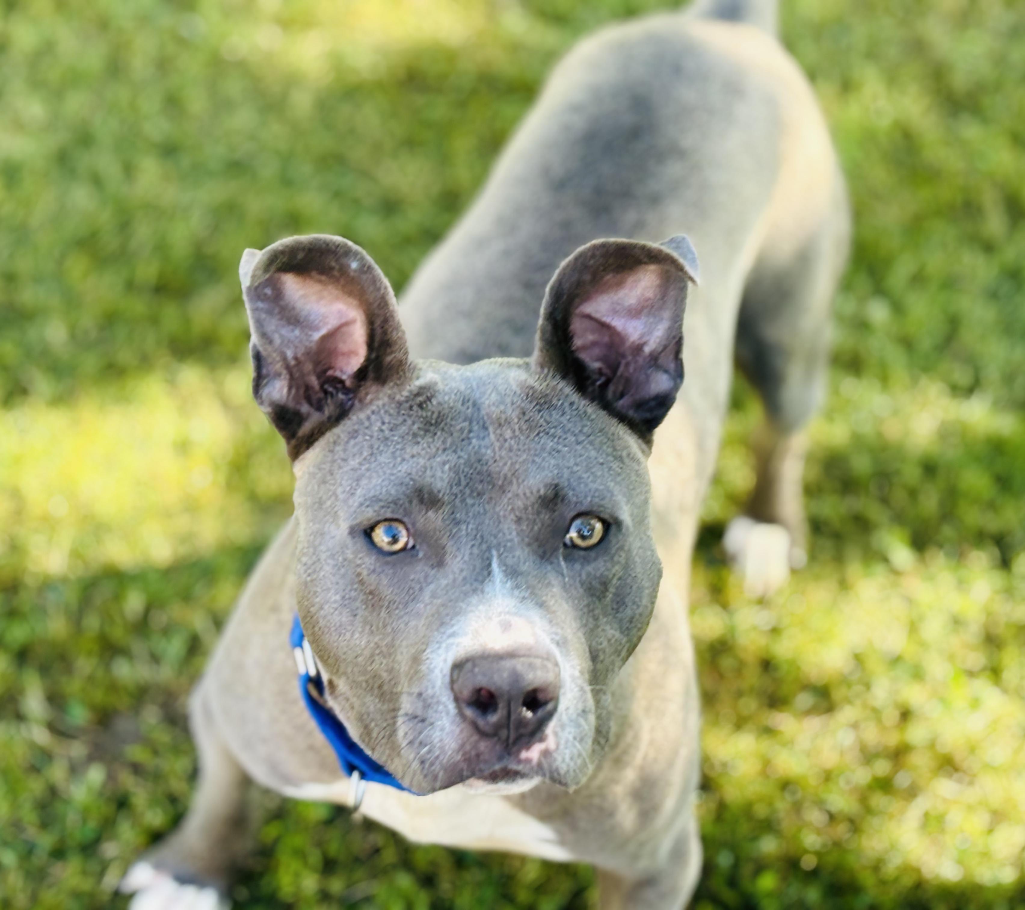 Jax