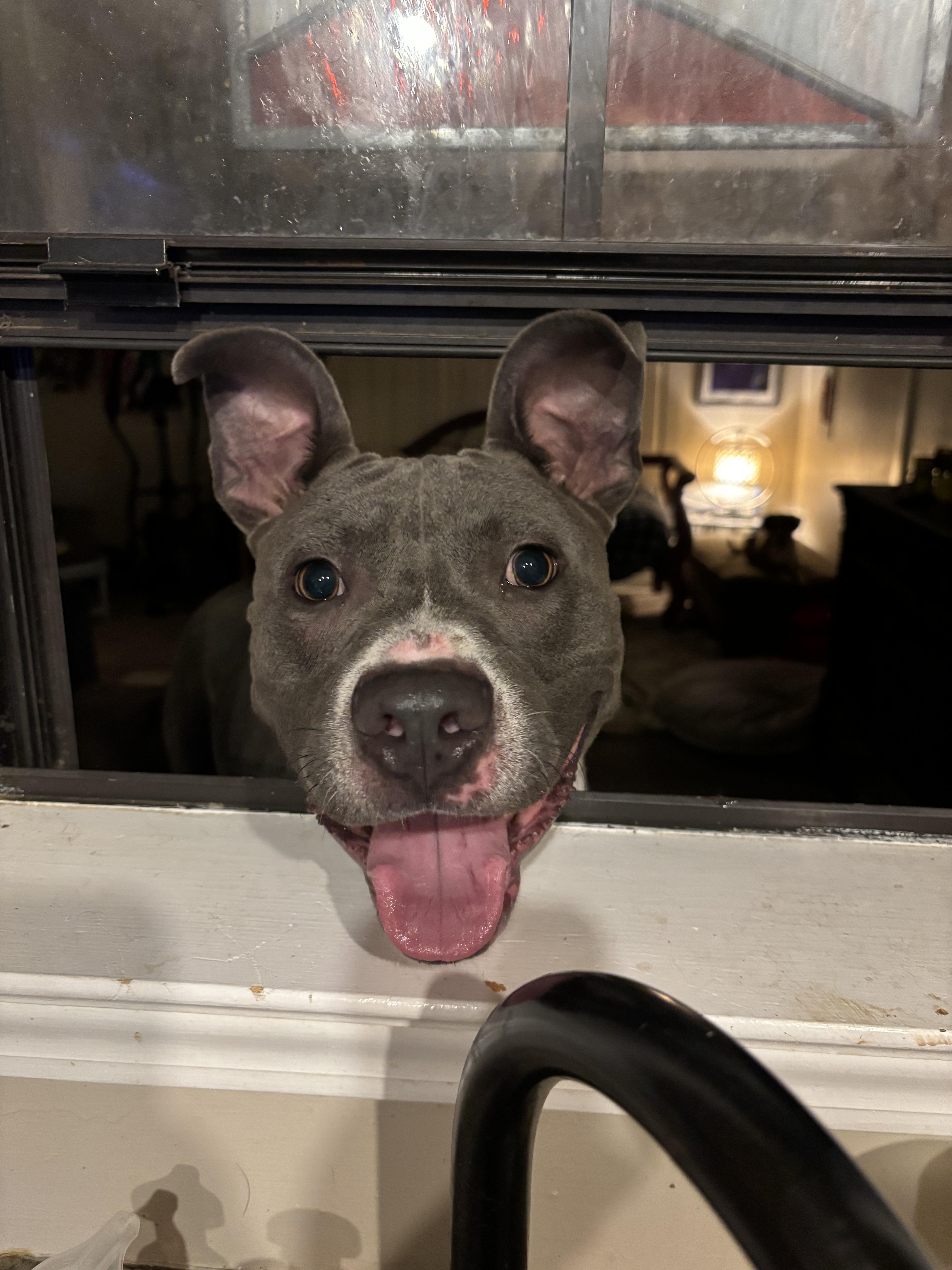 Jax