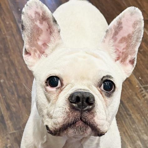 Betty