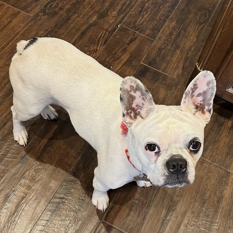 Betty