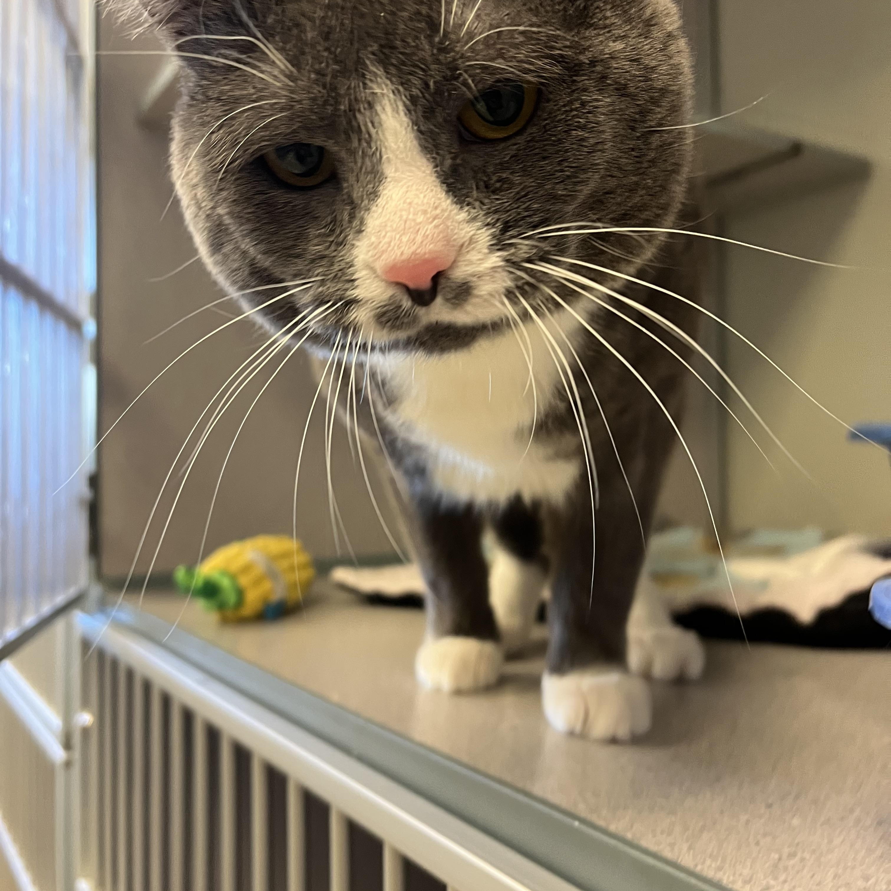 Buster — thumbnail 3