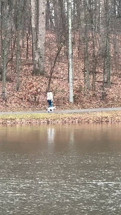 Enlarge Nick, a Adoptable mixed breed in Warrenton, MO video 5/6