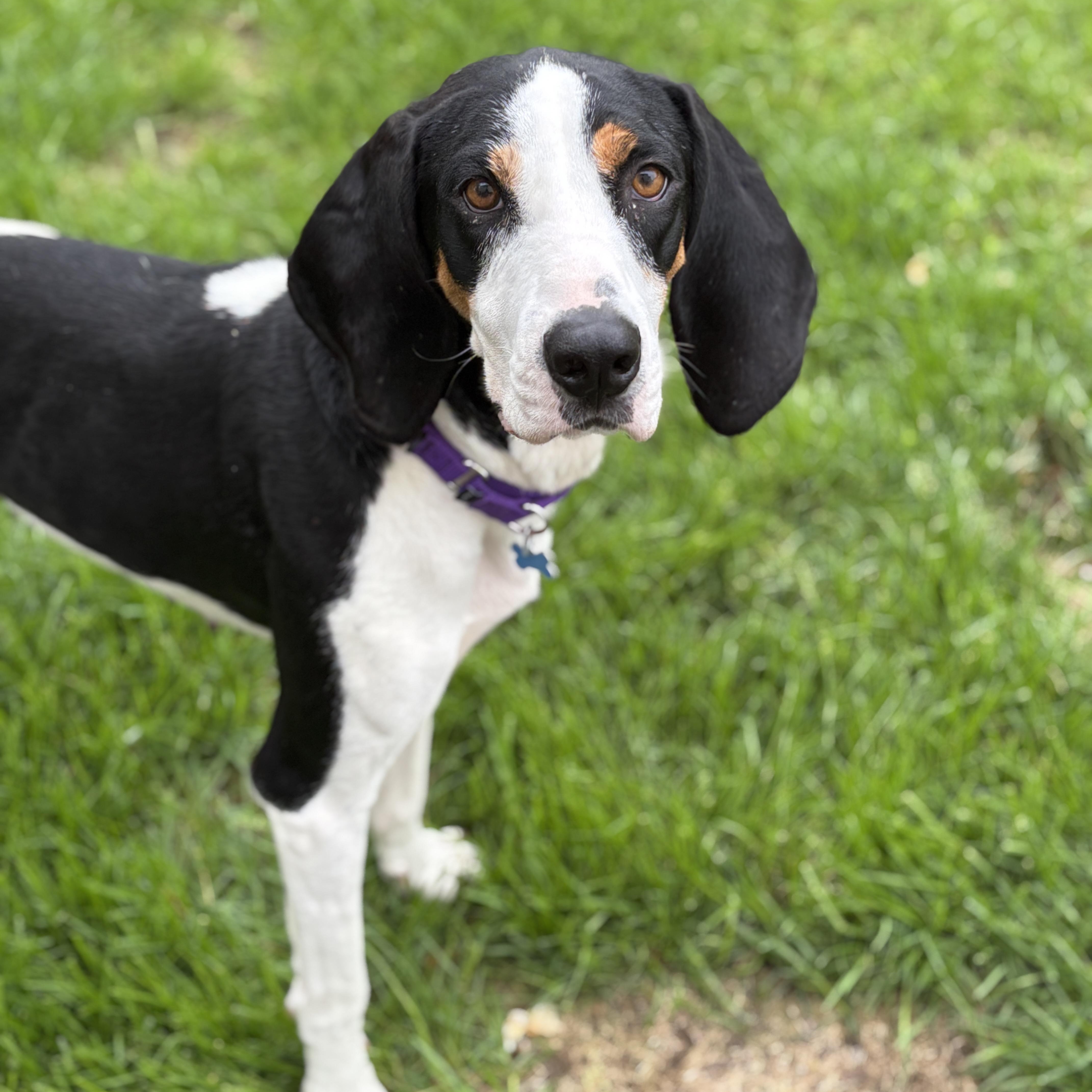 Maggie photo 1