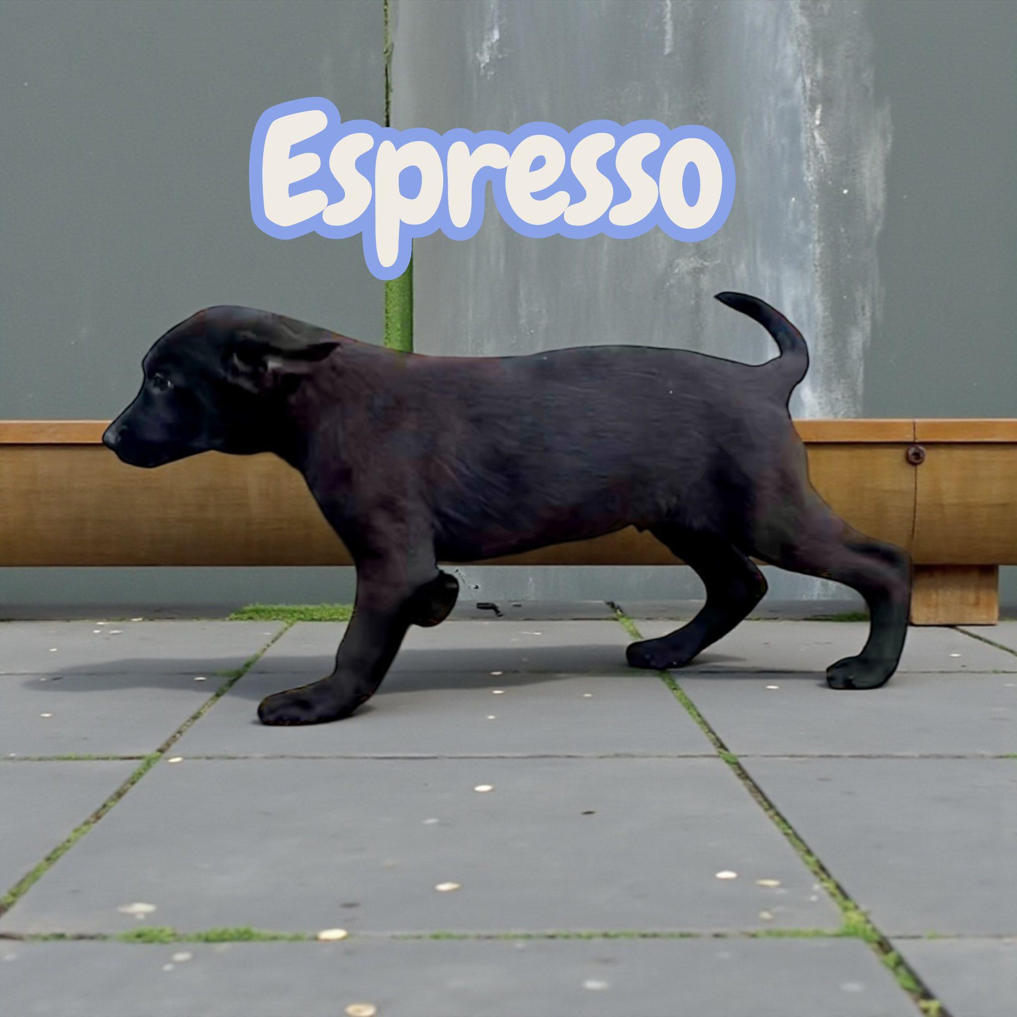 Espresso thumbnail 2