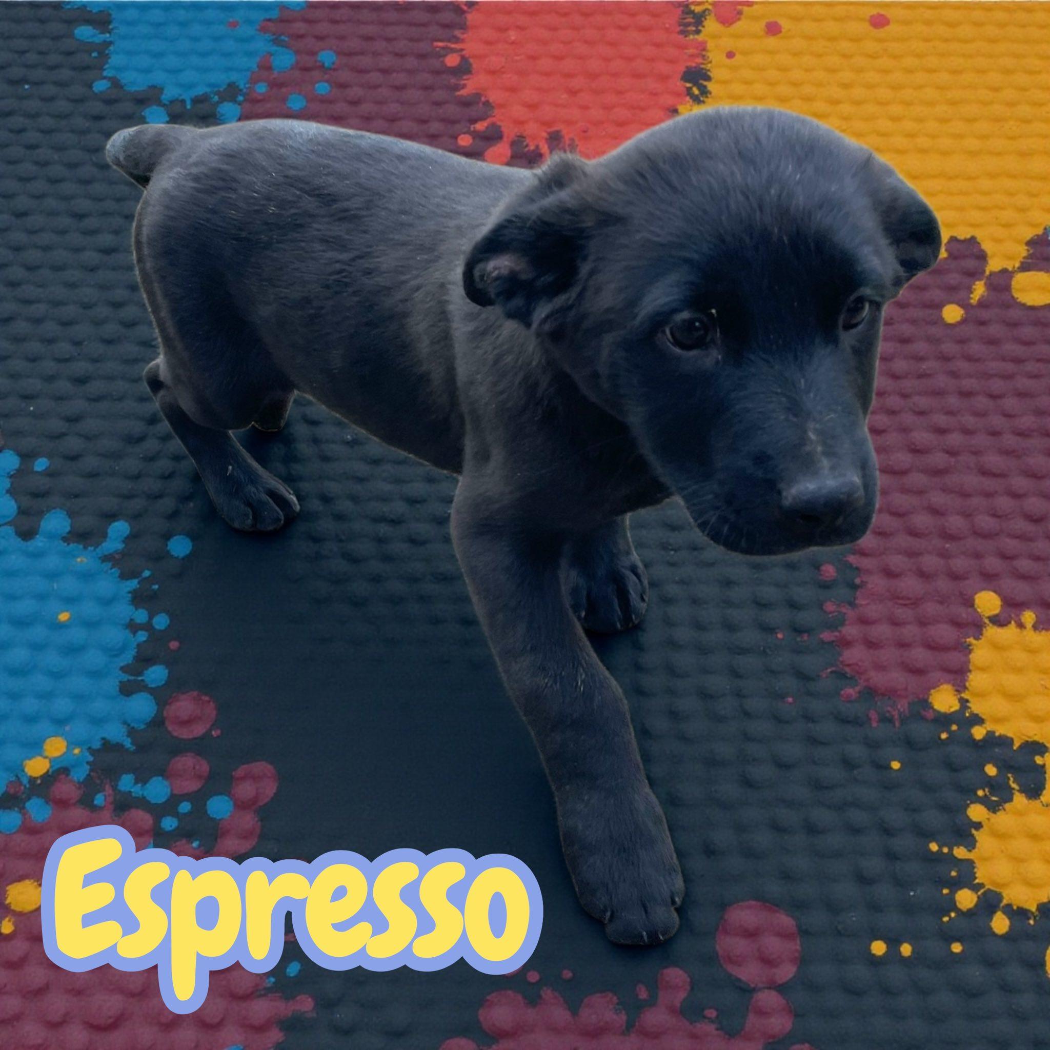Espresso thumbnail 3