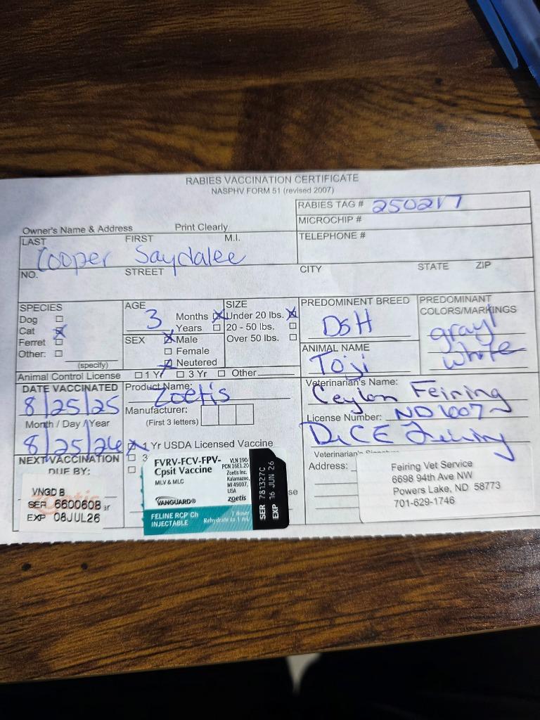 Finn (O46) nka Toji, a Adopted mixed breed in Minot, ND image 1/2