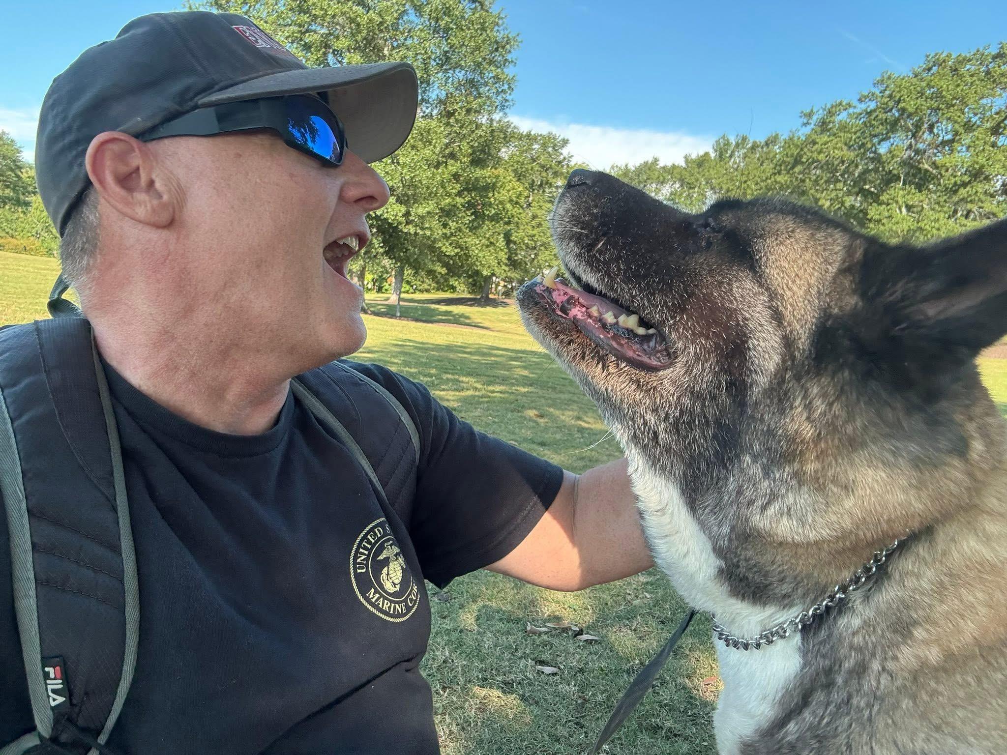 Enlarge Mimi, a Adopted Akita in Toms River, NJ image 4/5