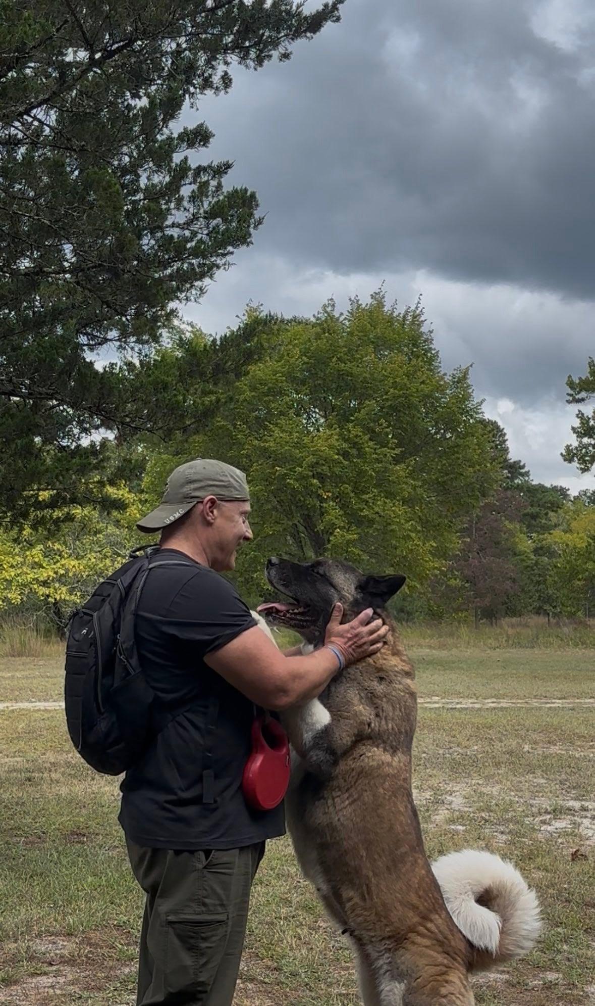 Enlarge Mimi, a Adopted Akita in Toms River, NJ image 5/5