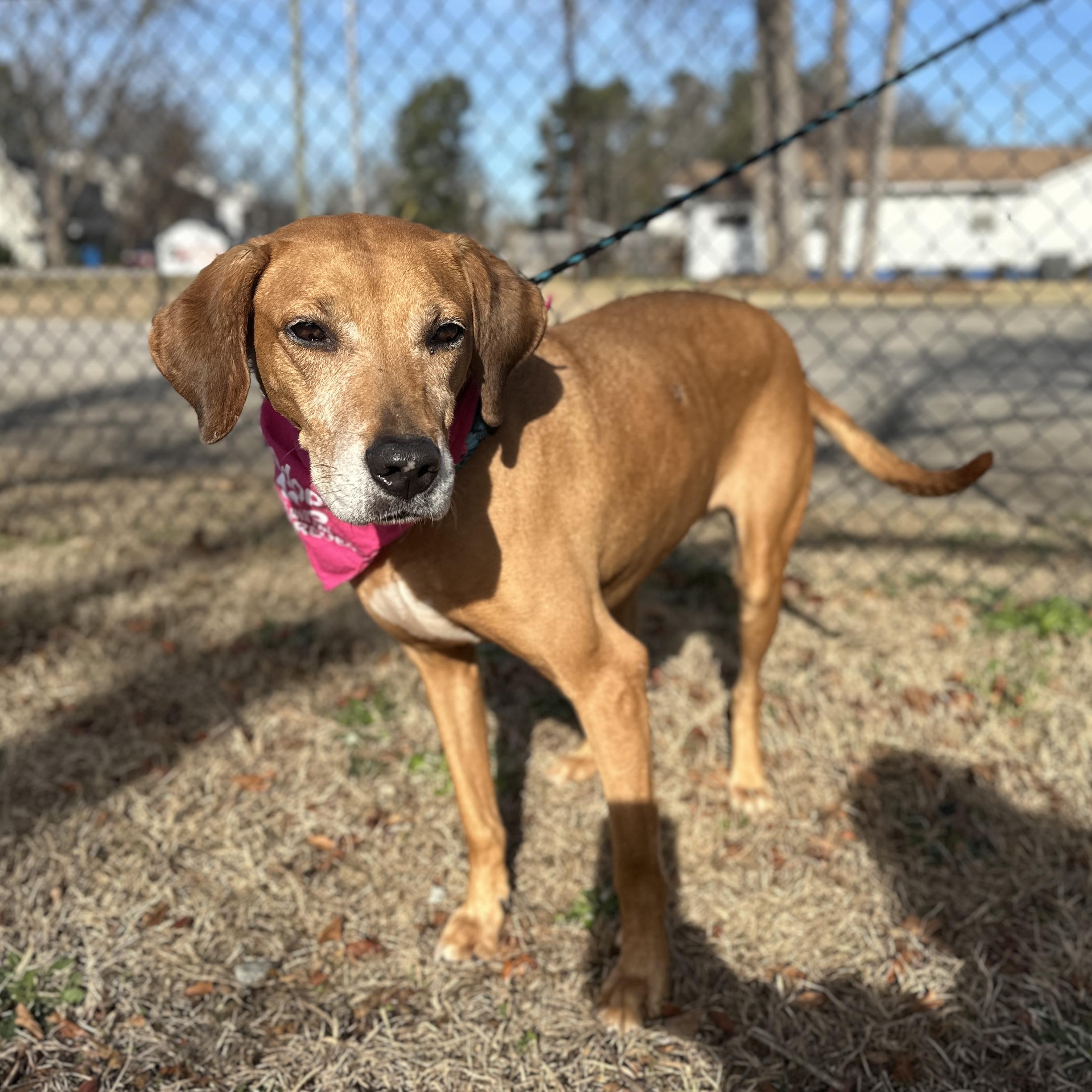 Angel — thumbnail 2