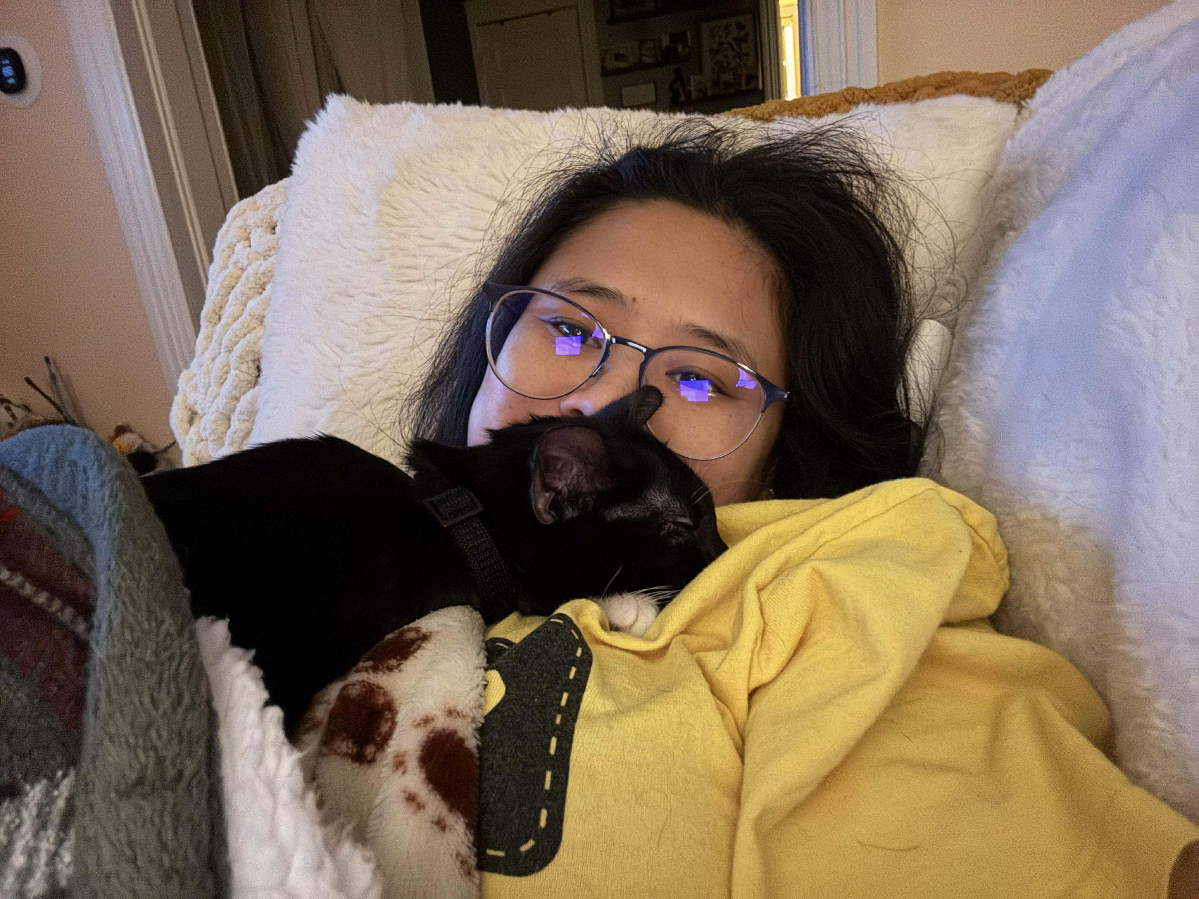 Enlarge Raven, a ADOPTABLE Domestic Short Hair in Rochester , NY image 2/6