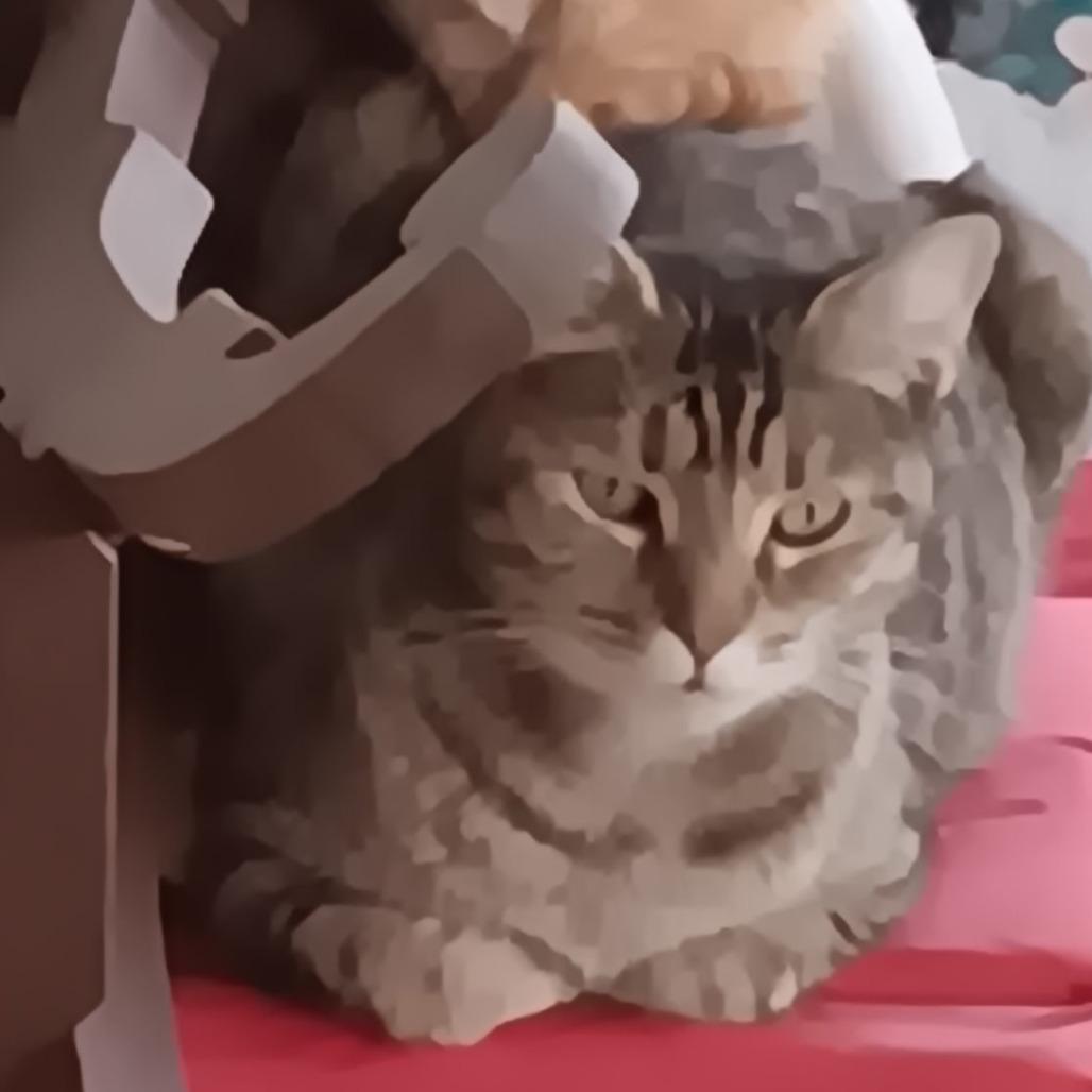 Chloee — thumbnail 4