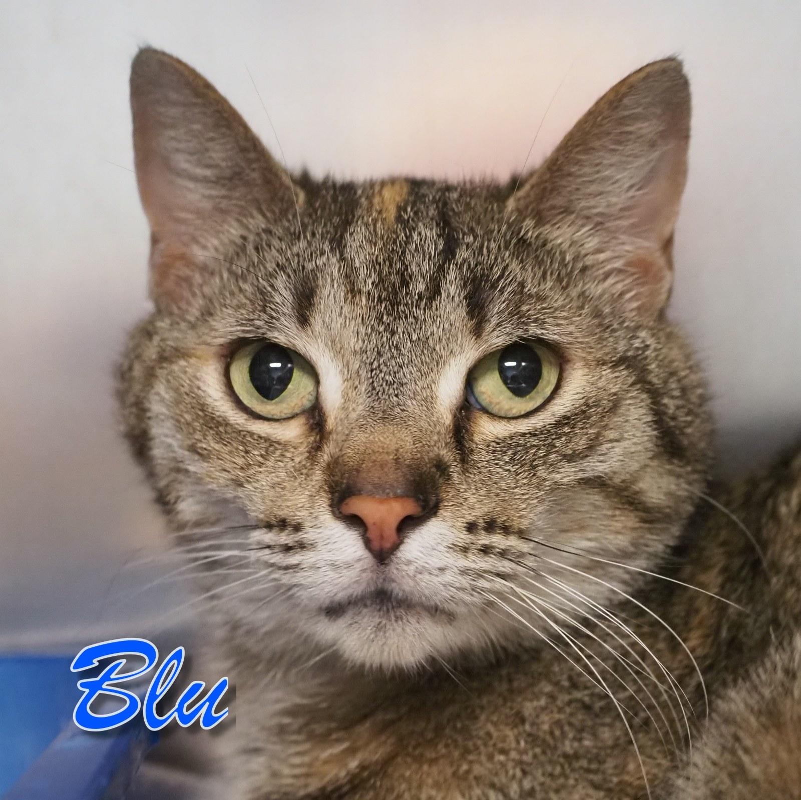 Blu