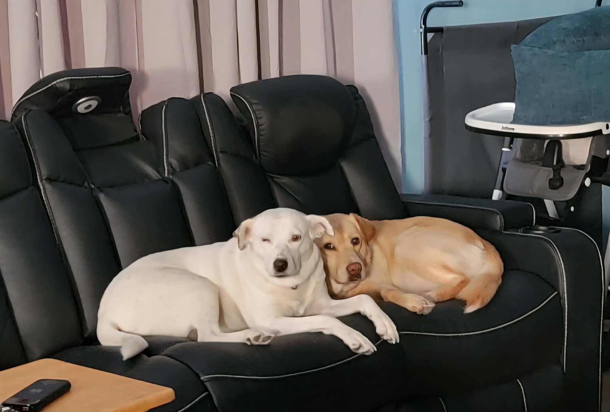 Mochi — thumbnail 2