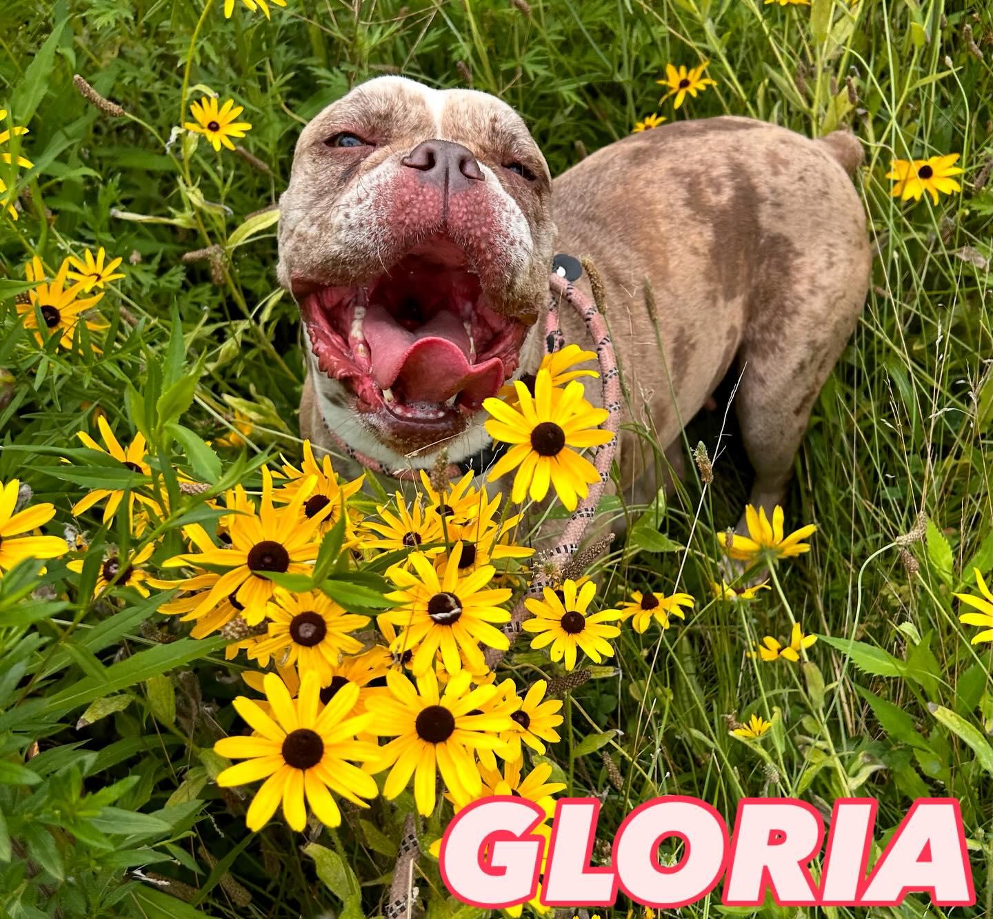 Gloria Tag #1194