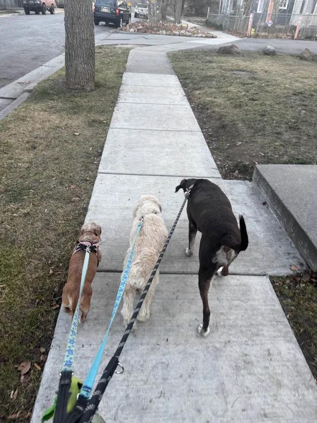 Lizzie — thumbnail 3