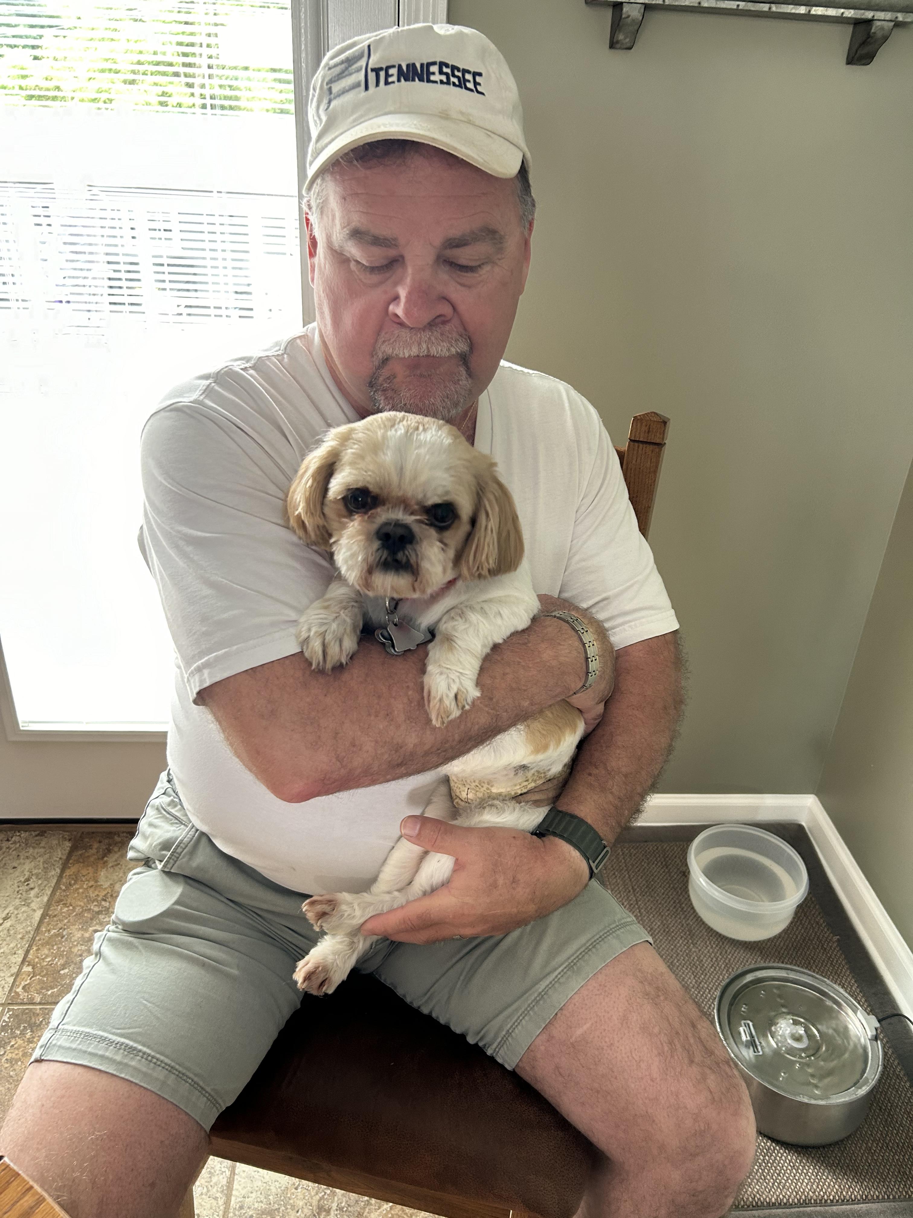 Enlarge AJ, a Adopted Shih Tzu in Knoxville, TN image 1/4